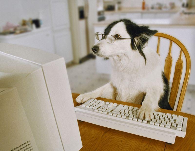 psia praca komputerowa